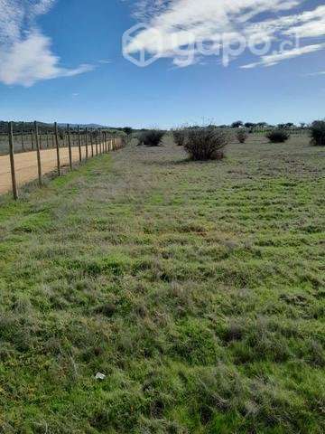 Parcela 5000mt sector mallermo sexta region - Imagen 2