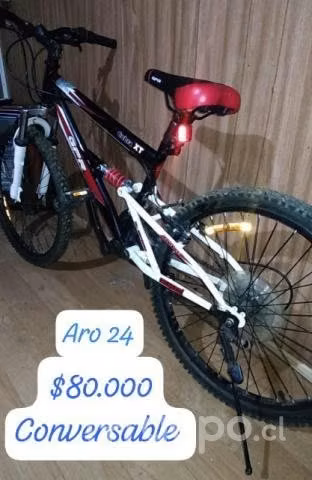 Bicicleta