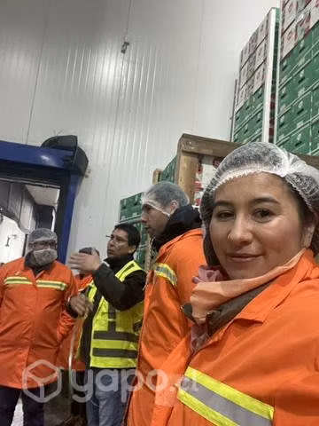 Prevención de riesgos