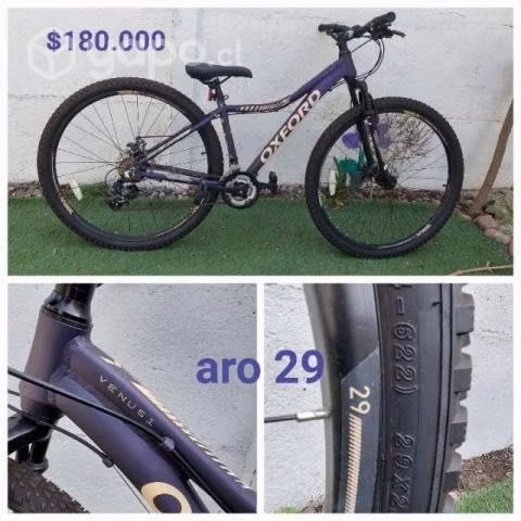 Bicicleta oxford venus 1