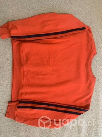 ropa - Imagen 2