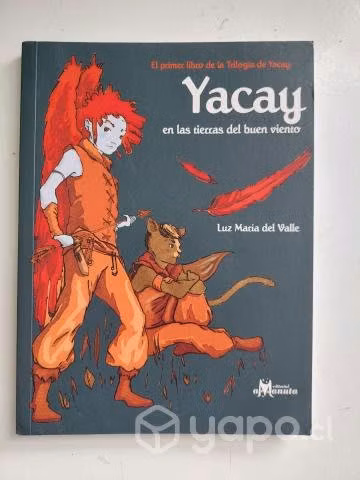 Yacay 1