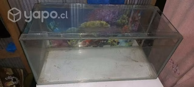 Acuario de peces