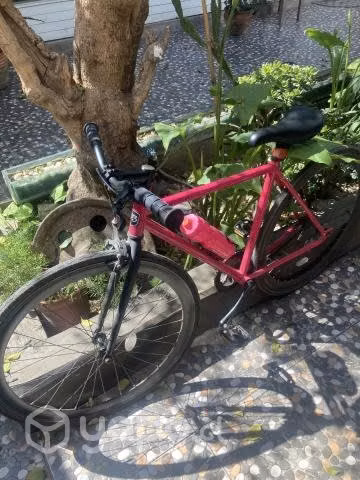 Bicicleta P3 cycles