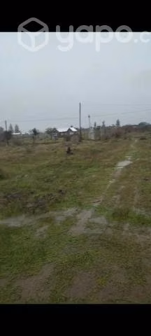 Se vende parcela en ninhue