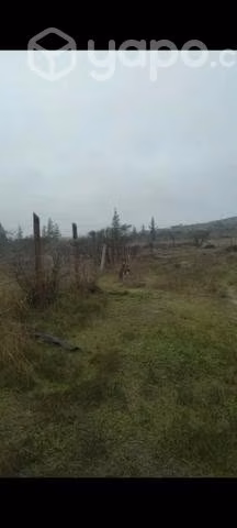 Se vende parcela en ninhue