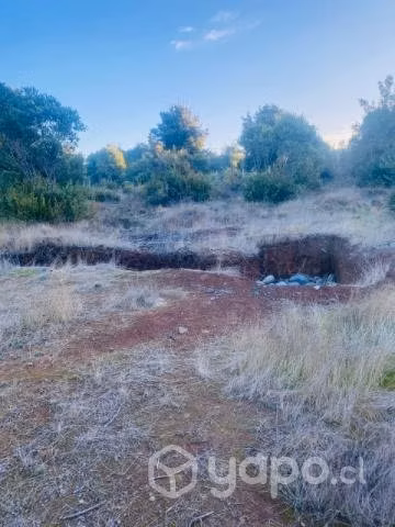 En venta dos terrenos de 5010 mts 1 con casa