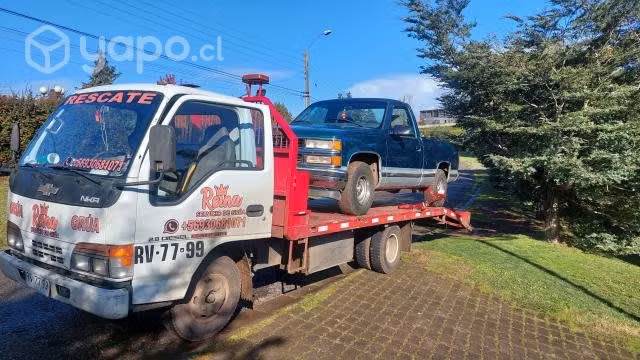 Grúa trabajando al día