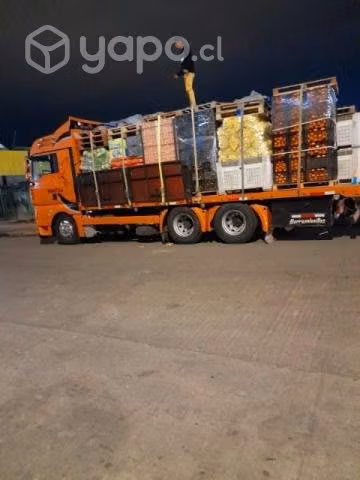 Vendo camión plano