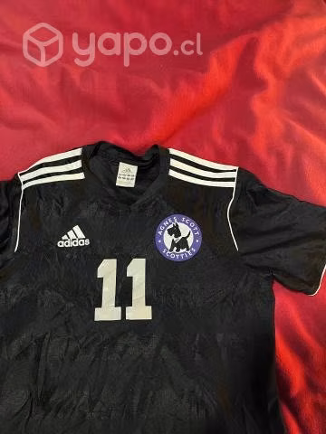 Camiseta original Adidas y puma.