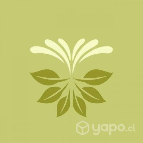 Mantentencion de jardines , terrazas , balcones