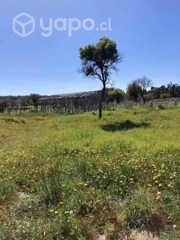 Parcela en San Nicolas