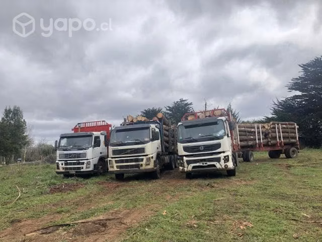 Camión volvo fmx 2012