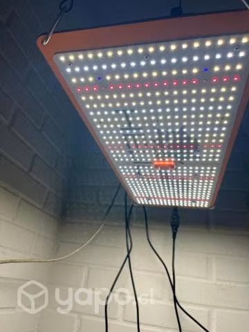 Lámpara Led De Cultivo Indoor Slim Sun Pro Quantumboard240w