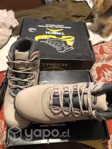 Zapatos de seguridad
