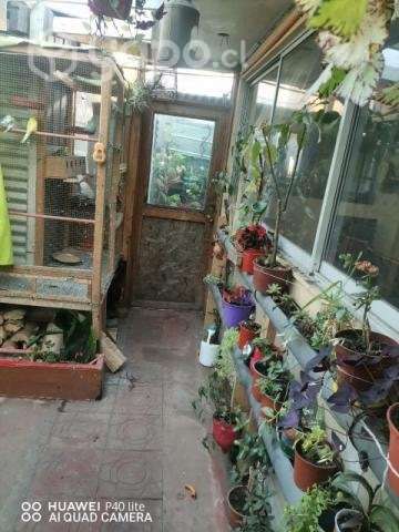 Casa - Imagen 3