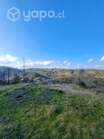 Parcela en Copiulemu - Imagen 5