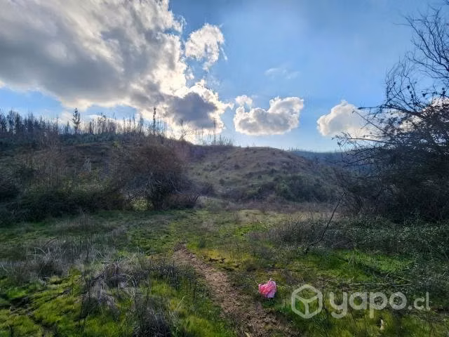 Parcela en Copiulemu - Imagen 7