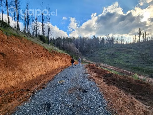Parcela en Copiulemu - Imagen 4