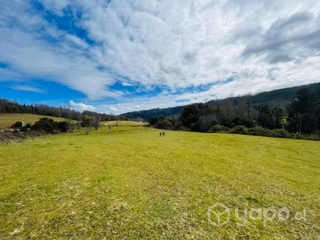 Parcela en los lagos - panguipulli