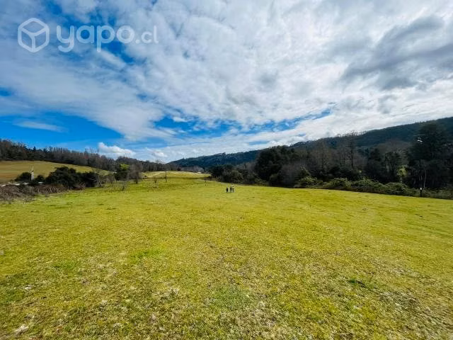 Parcela en los lagos - panguipulli