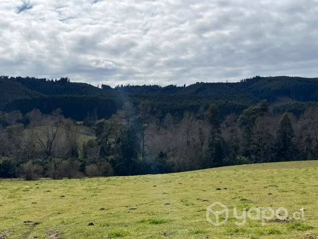 Parcela en los lagos - panguipulli