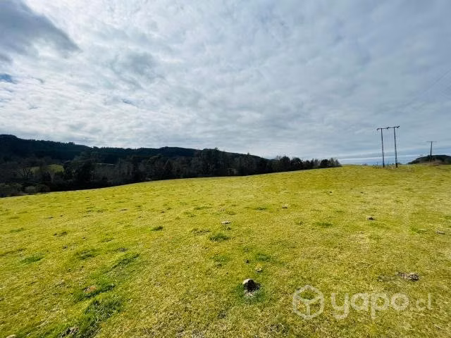 Parcela en los lagos - panguipulli