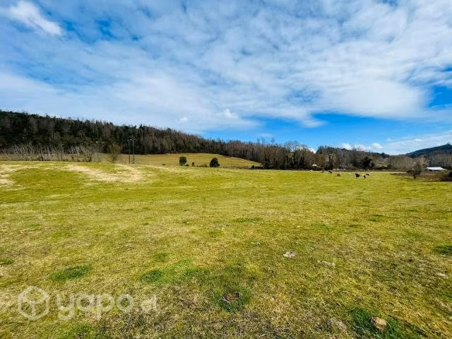 Parcela en los lagos - panguipulli