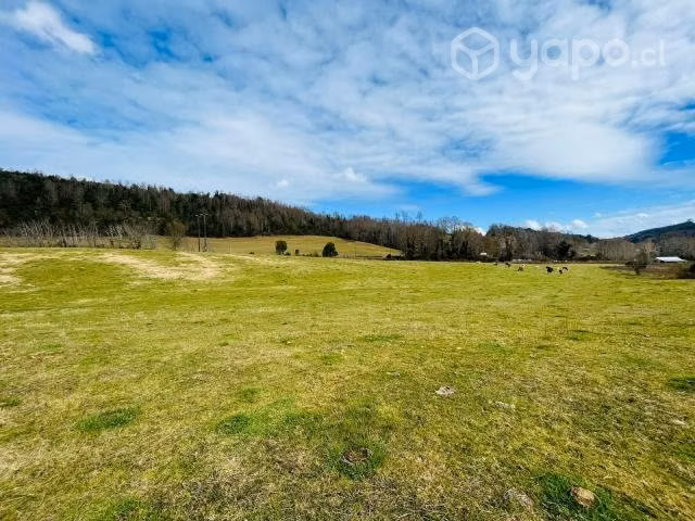 Parcela en los lagos - panguipulli