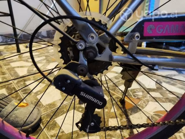 Bicicleta gamma - Imagen 6