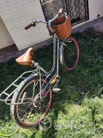 Bicicleta gamma - Imagen 4