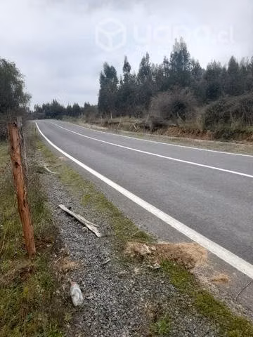 Parcelas en vichuquen 5000mts2 - Imagen 3