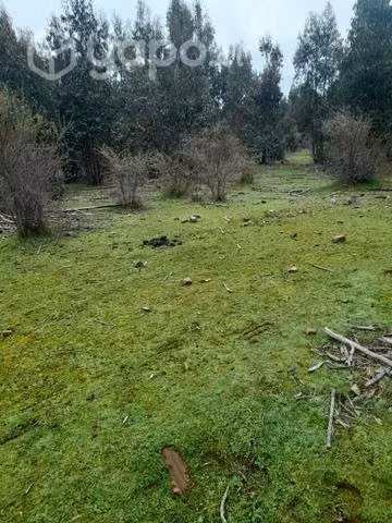 Parcelas en vichuquen 5000mts2