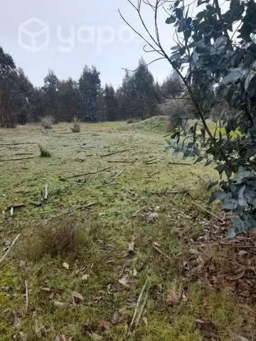 Parcelas en vichuquen 5000mts2 - Imagen 2