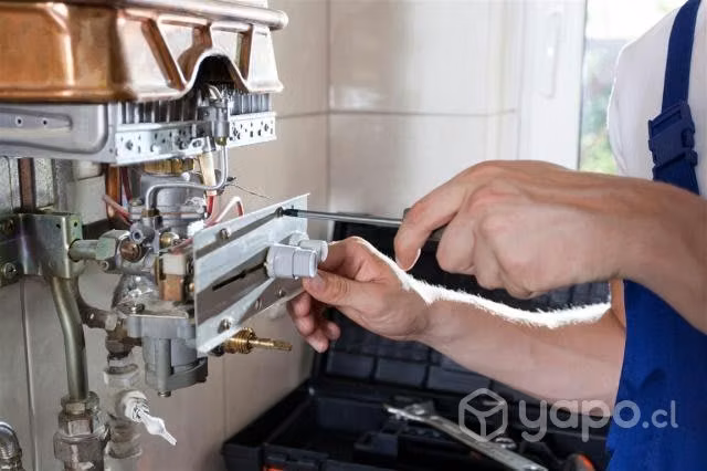 Mantencion y reparacion fenix - rh
