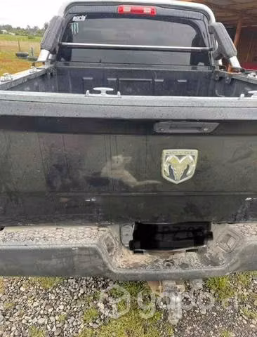 Dodge RAM 1500 Heavy Duty 2009 - Imagen 6