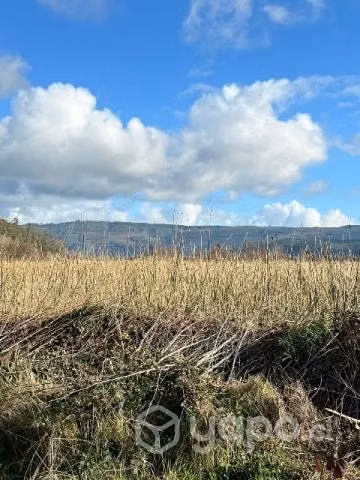 TERRENO, PARCELA en VALDIVIA CON ORILLA DE RÍO