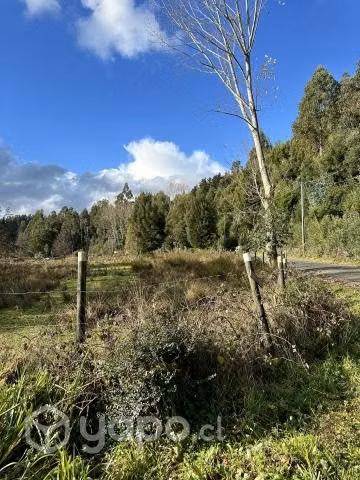 TERRENO, PARCELA en VALDIVIA CON ORILLA DE RÍO