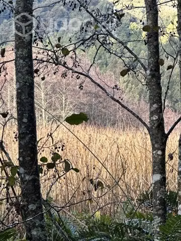 TERRENO, PARCELA en VALDIVIA CON ORILLA DE RÍO