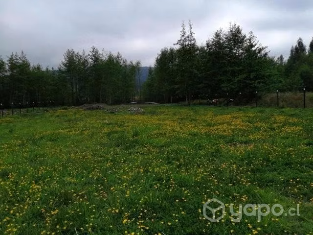 TERRENO, PARCELA en VALDIVIA CON ORILLA DE RÍO