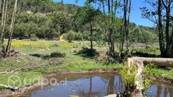 TERRENO, PARCELA en VALDIVIA CON ORILLA DE RÍO