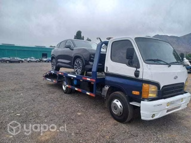 Hyundai hd65 2002 grua