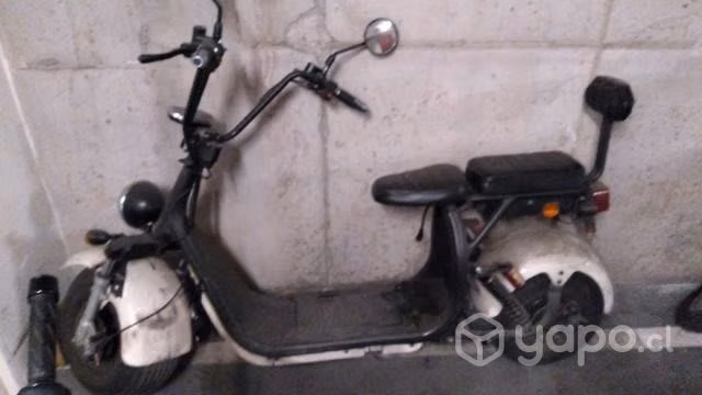 Modelo citycoco para repuesto