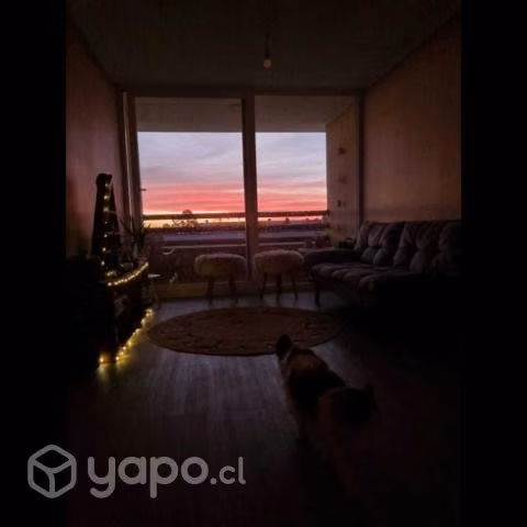 Hermoso departamento amblado