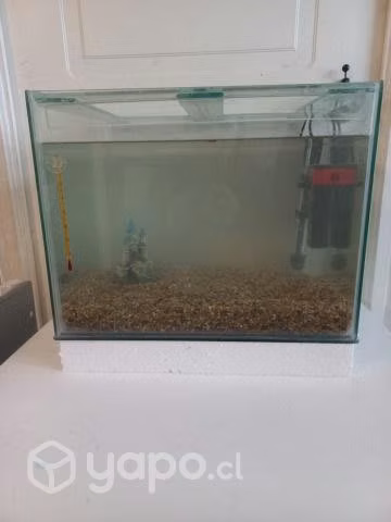 Acuario - Imagen 2