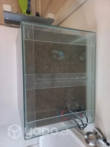 Acuario - Imagen 3