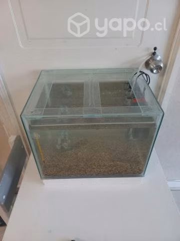 Acuario