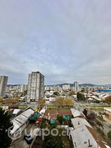 Arriendo hermoso y centrico departamendo por dia