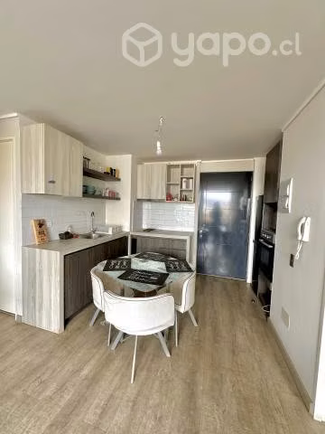 Arriendo hermoso y centrico departamendo por dia