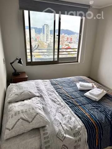 Arriendo hermoso y centrico departamendo por dia